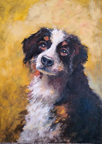 Bernese Mountain Dog. Faithful Friend by Maria Slynko, Painting for Sale on Select