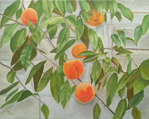 Peaches by Angeles M. Pomata, Painting for Sale on Select