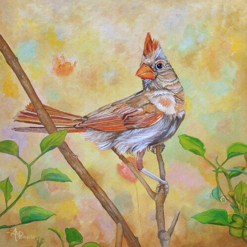 Female Cardinal Portrait by Angeles M. Pomata, Painting for Sale on Select