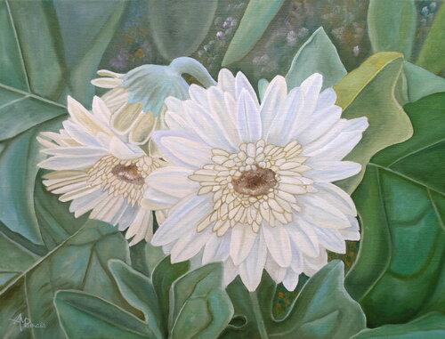 White Gerbera by Angeles M. Pomata, Painting for Sale on Select