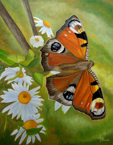 Peacock Butterfly by Angeles M. Pomata, Painting for Sale on Select