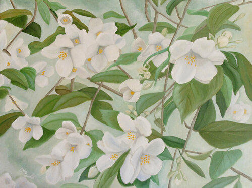 Orange Blossoms by Angeles M. Pomata, Painting for Sale on Select