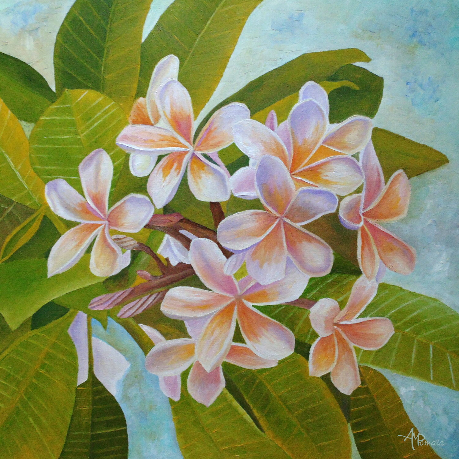 Plumeria Angeles M. Pomata Original painting for sale
