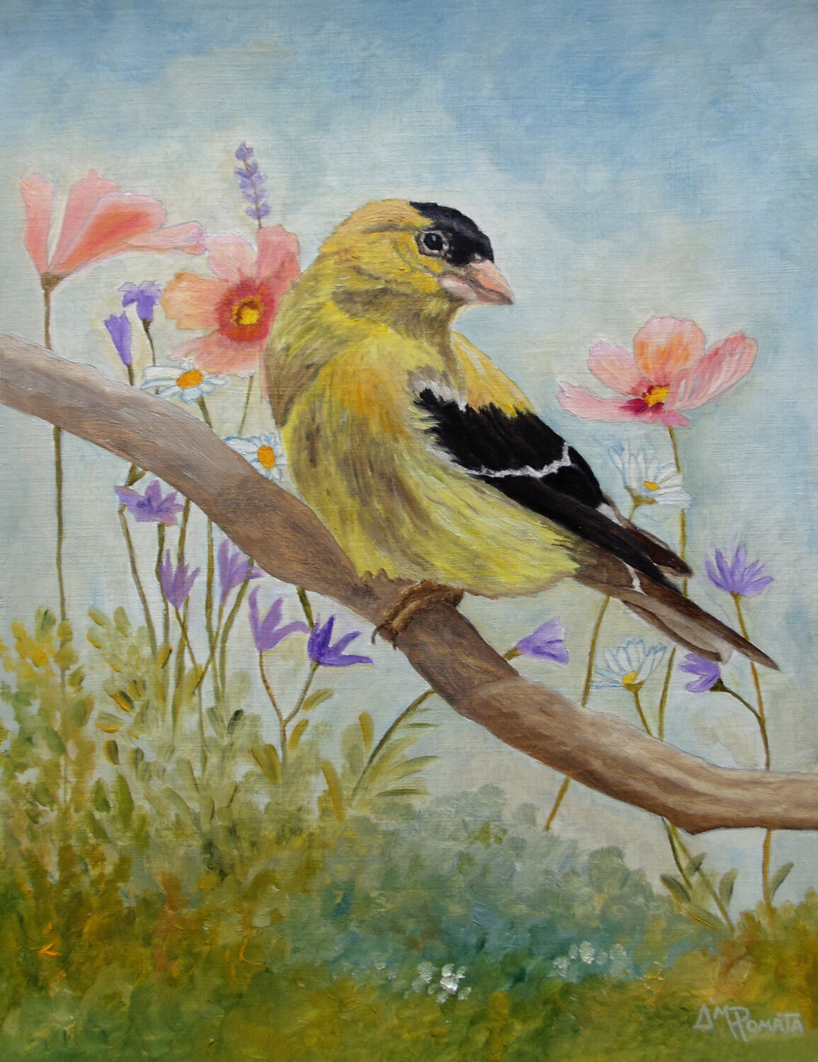 Early Spring American Goldfinch Angeles M. Pomata Original painting for sale
