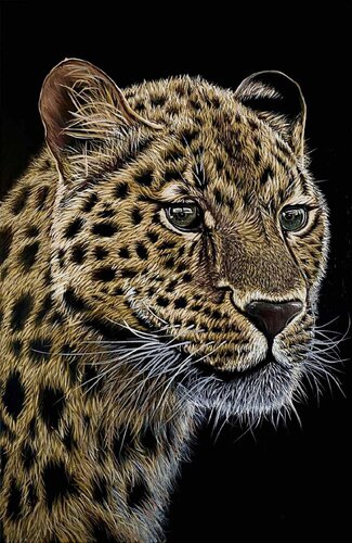 Leopard by Elena Dmitrenko, Painting for Sale on Select