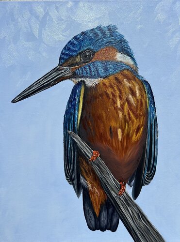 Kingfisher 2023 by Elena Dmitrenko, Painting for Sale on Select