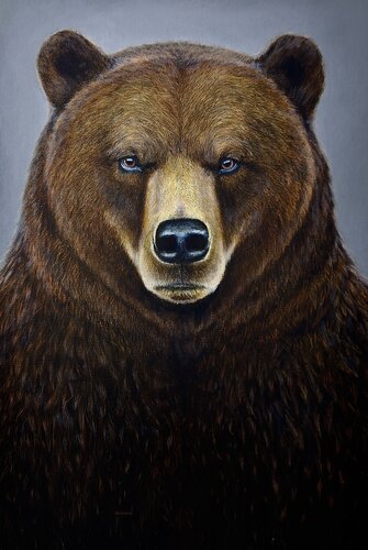 Grizzly bear by Elena Dmitrenko, Painting for Sale on Select