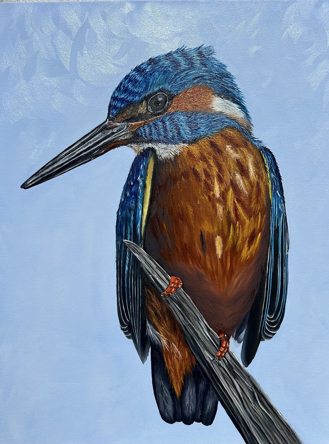 Kingfisher 2023 Elena Dmitrenko Original painting for sale