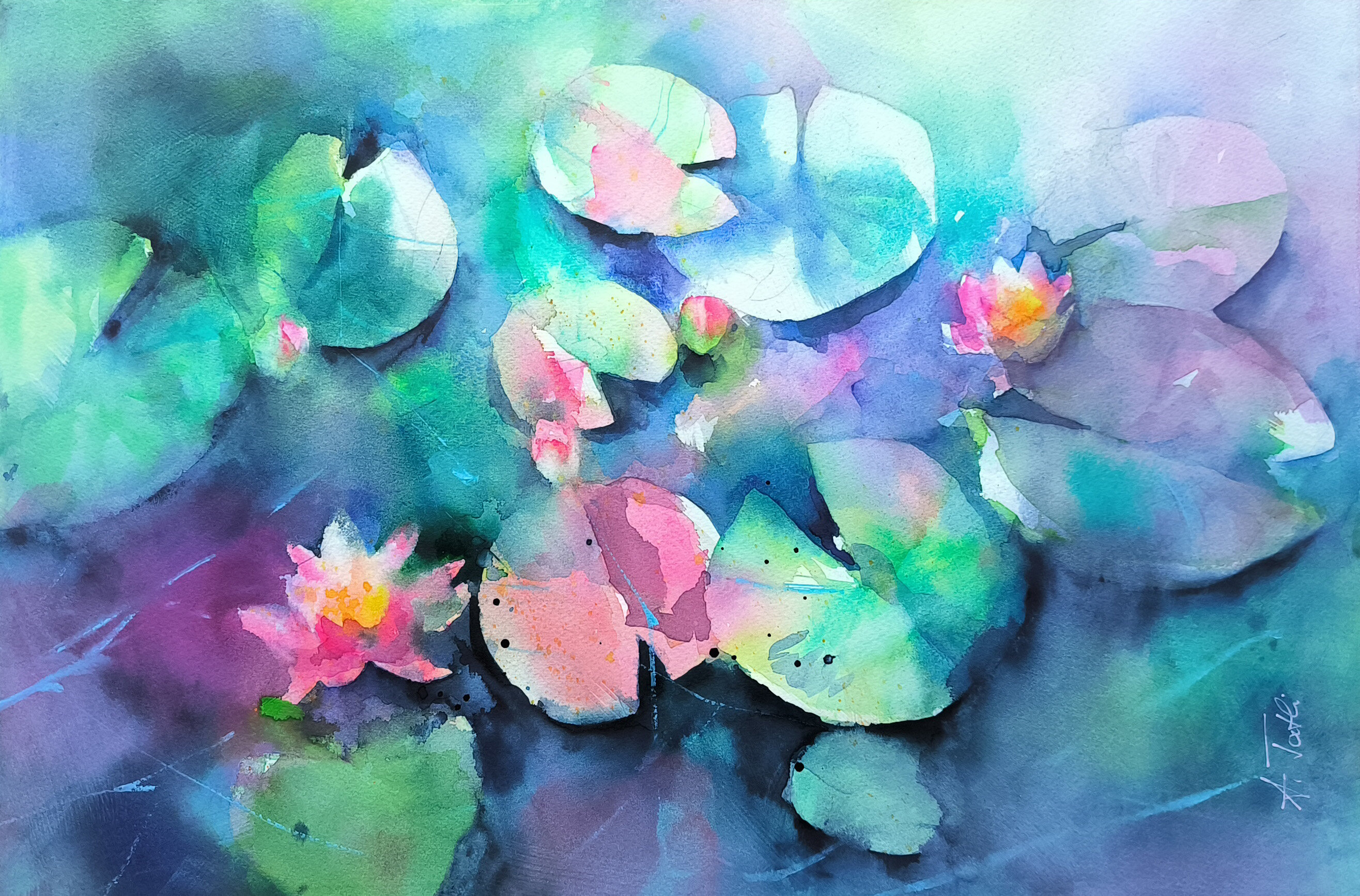 Seerosenteich mit rosa Blüten