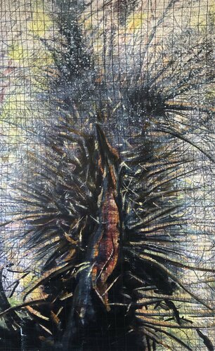 Acacia bush by Valeriya Tarasenko, Painting for Sale on Select