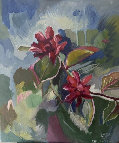 Calycantus by LAURE SAIGNE, Painting for Sale on Select