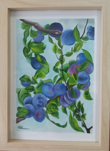 Frutti - Susine von Morena Caliendo, Malerei kaufen auf Select