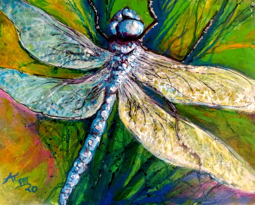 Blaue Libelle by Johann Acher, Painting for Sale on Select
