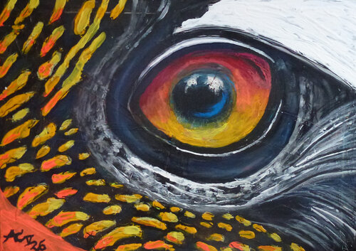 Vogelauge by Johann Acher, Painting for Sale on Select