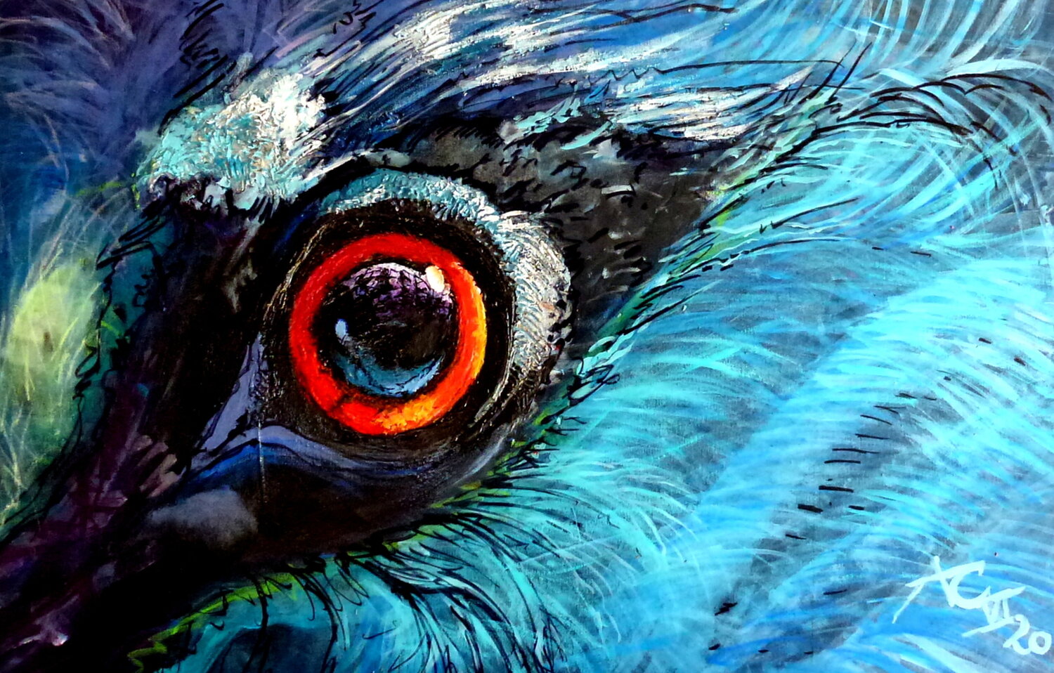 Vogelauge Johann Acher Original painting for sale