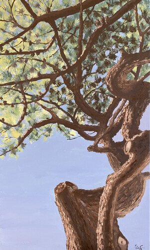 Enfin un peu d’ombre by Sophie Cousineau, Painting for Sale on Select