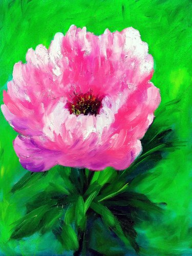 Pink Peony Pop by Tetiana Surshko, Painting for Sale on Select