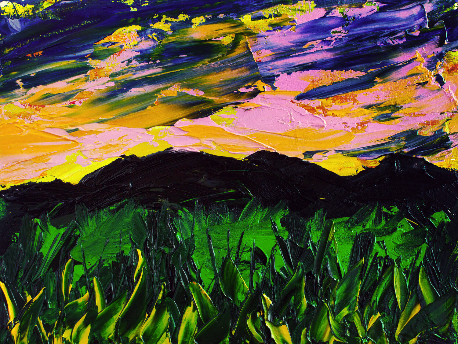 Wild Sky Ignites Tetiana Surshko Original painting for sale