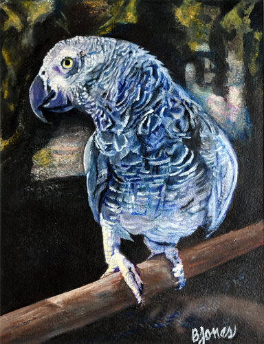 Feathers and Dreams: an African Gray by Bobbe Jones, Painting for Sale on Select