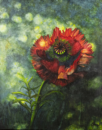 Poppy in the Shade by Bobbe Jones, Painting for Sale on Select