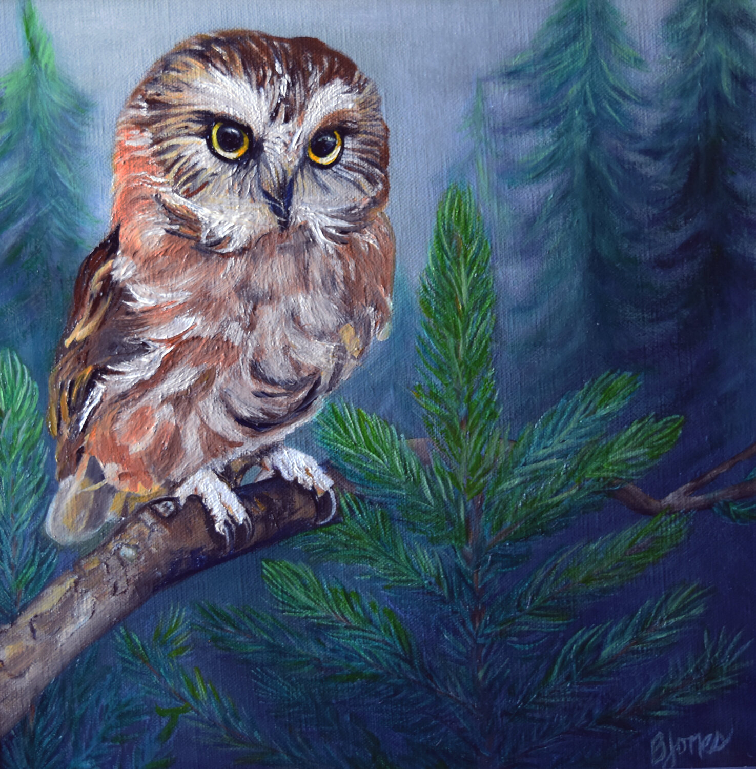 Whimsical Watcher, Northern Saw-whet Owl Bobbe Jones Original painting for sale