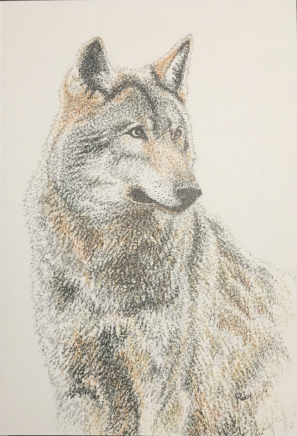 Il lupo Roberto Porcella Drawing for sale