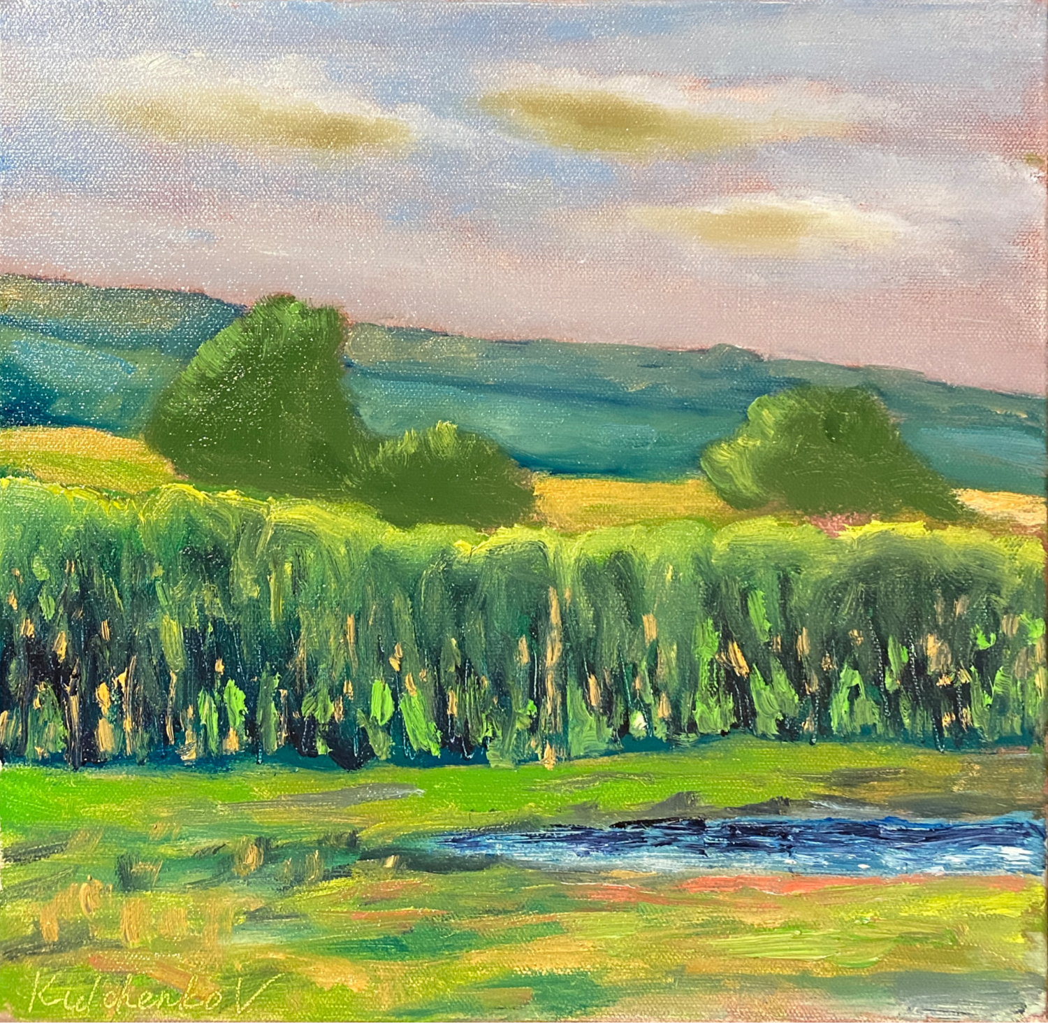 Around Dwellingup Vasily Kulchenko Original painting for sale