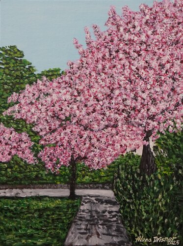 Schöne rosafarbene Kirschblütenzeit by Alena Drisner, Painting for Sale on Select