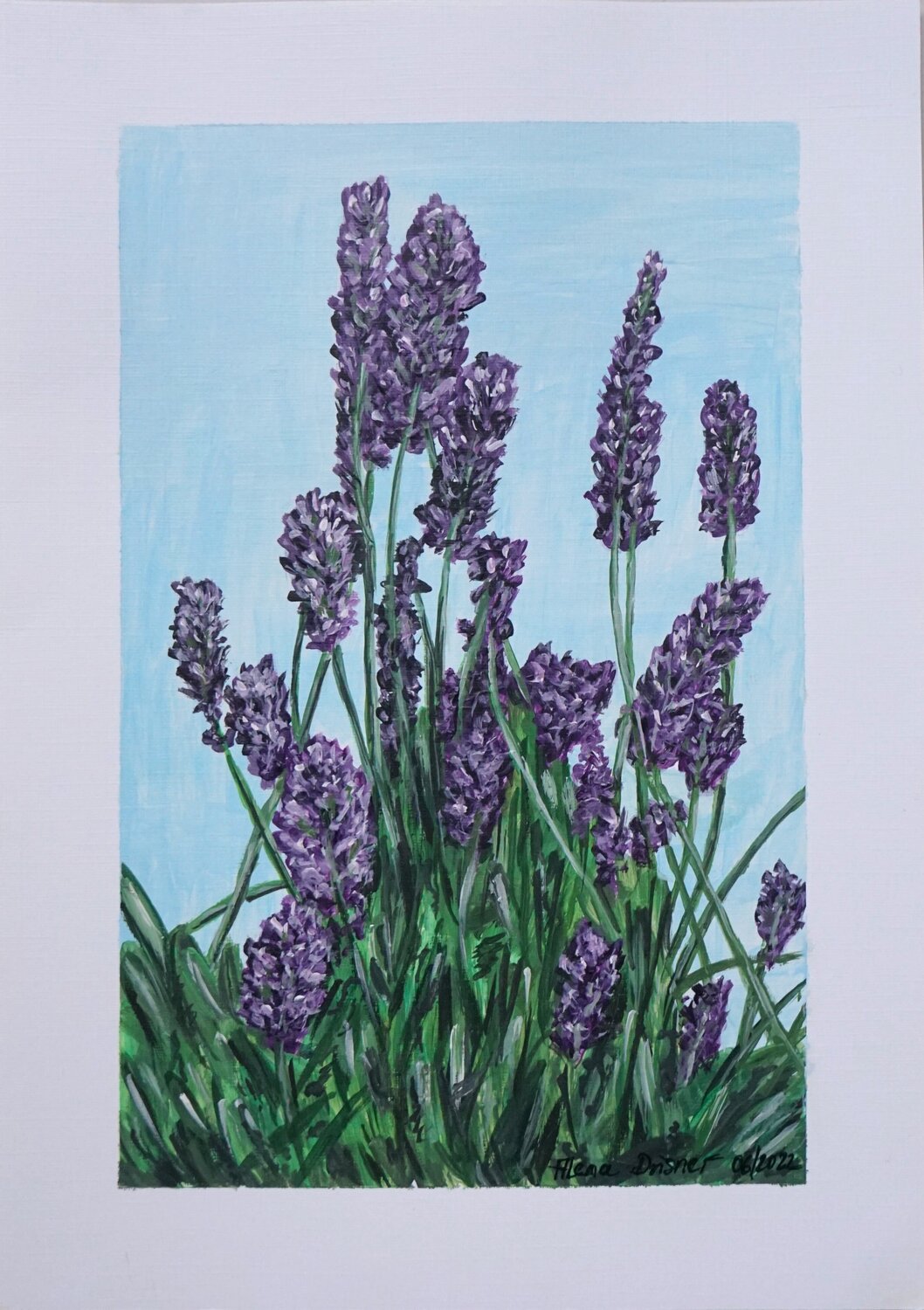 Blühende Lavendel - Blumen im Sommer Alena Drisner Original painting for sale
