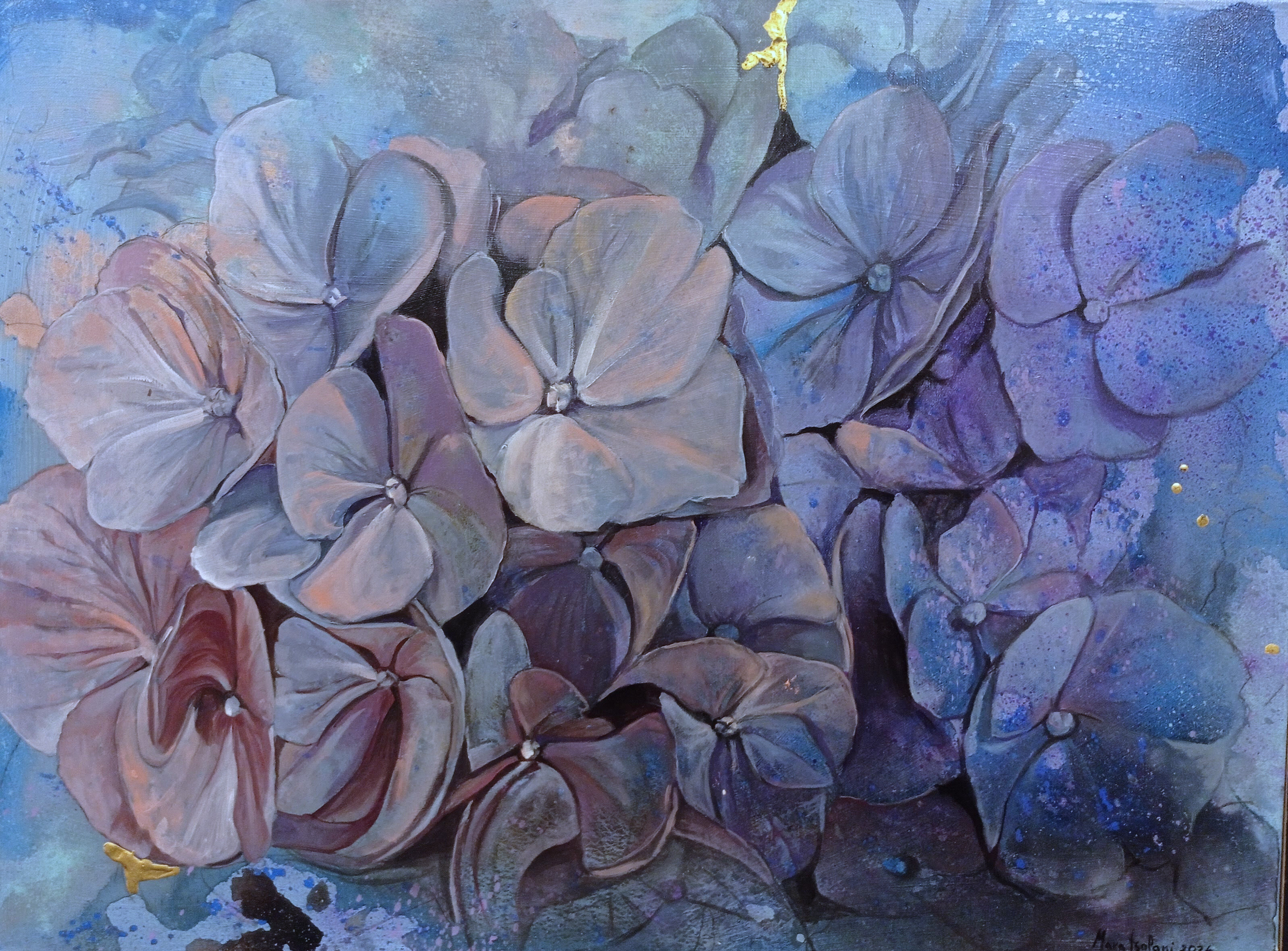 ortensie blu