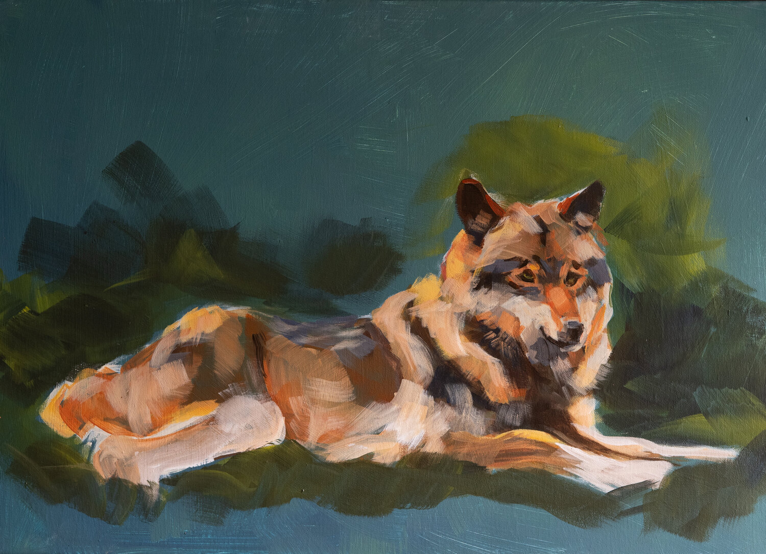 Der ruhende Wolf Axel Jung Original painting for sale