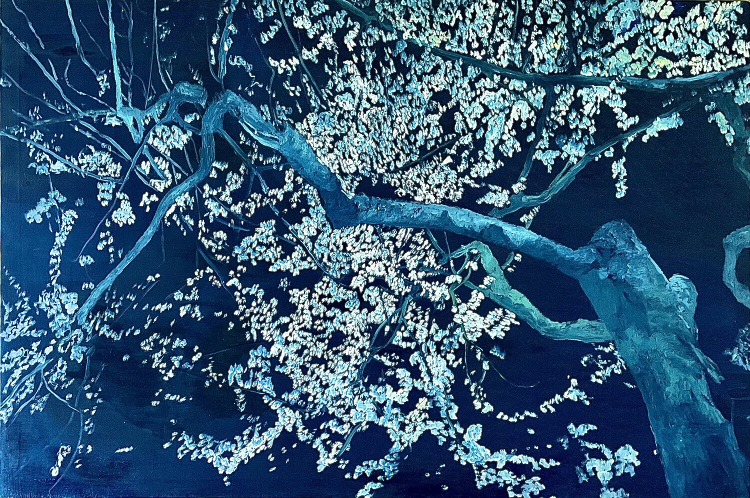 Fiori di notte Francesco Calistri Original painting for sale