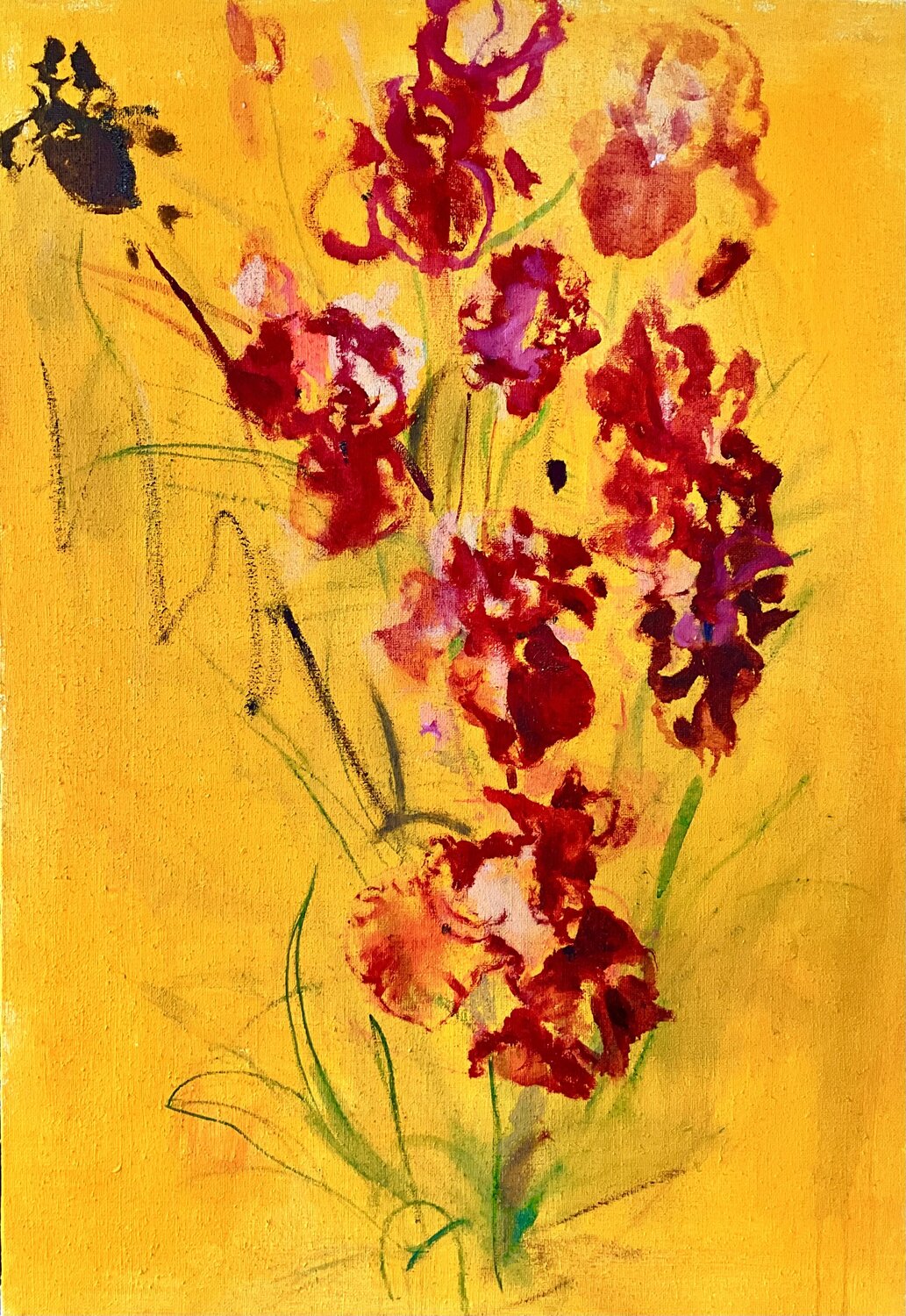 Wild iris Francesco Calistri Original painting for sale
