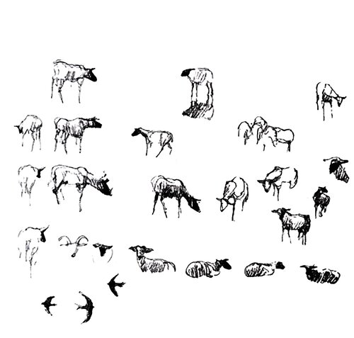 Ovejas 2 by Claudio Pincas Feldman, Drawing for Sale on Select