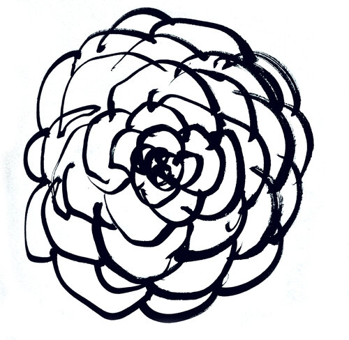 Rose ( Sketch Hand Drawing) by Claudio Pincas Feldman, Drawing for Sale on Select