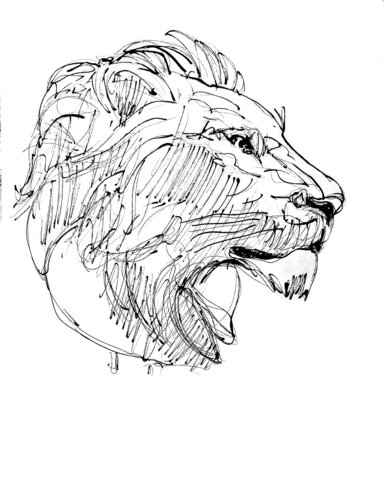 Dibujo Cabeza de Leon 2 by Claudio Pincas Feldman, Drawing for Sale on Select