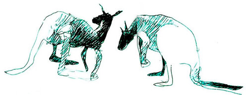 Pareja de Canguros by Claudio Pincas Feldman, Drawing for Sale on Select