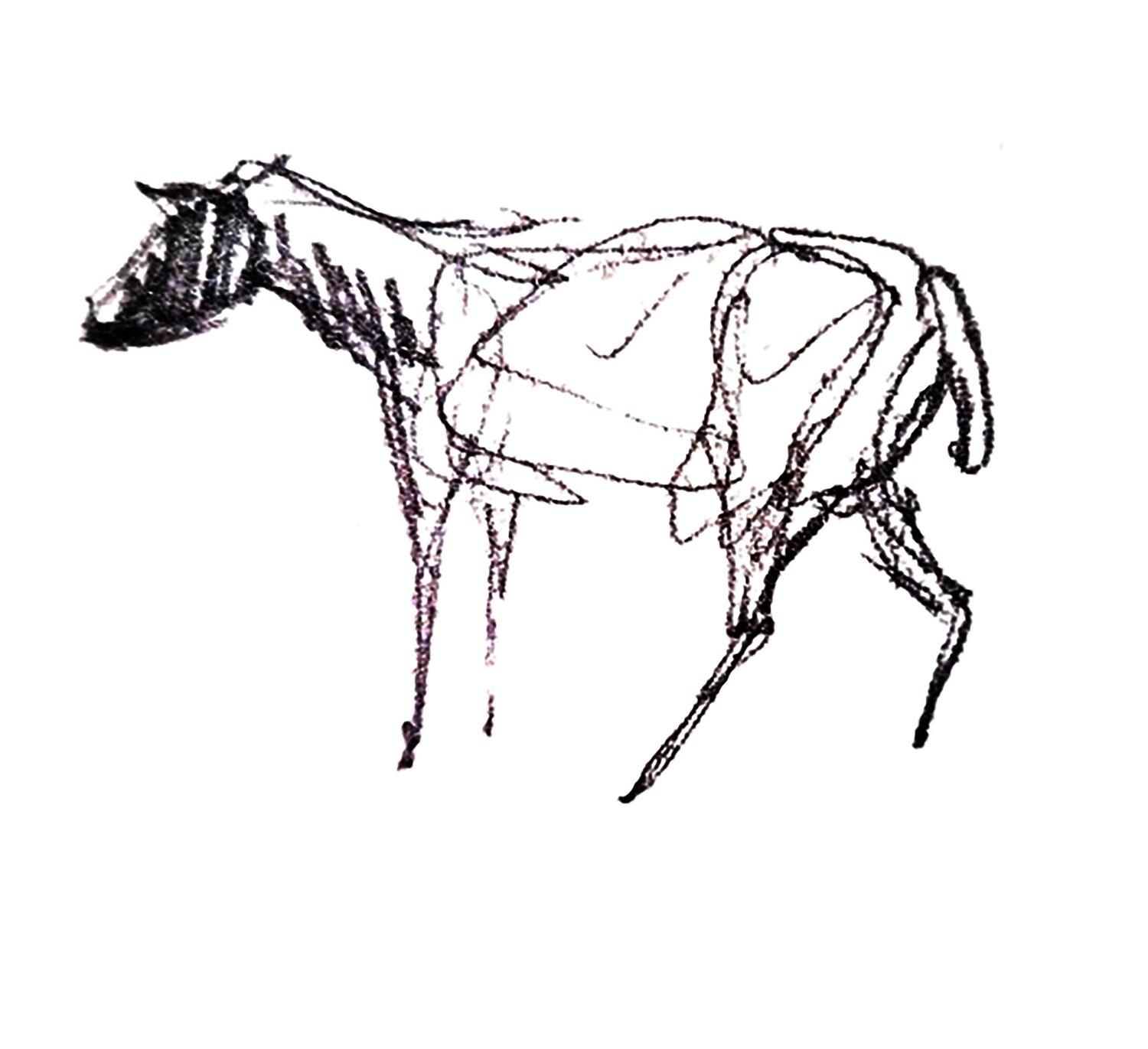 Oveja 01 Claudio Pincas Feldman Drawing for sale