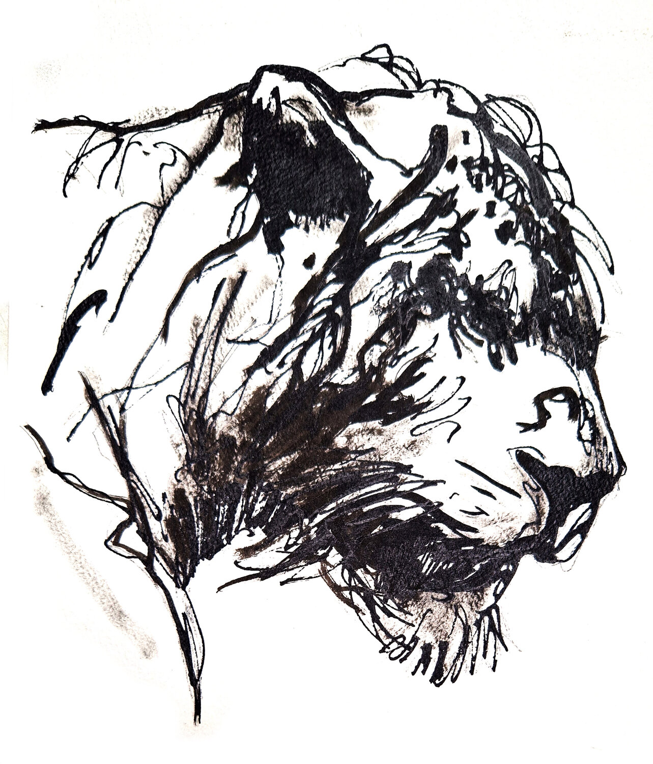 Leon 012 Claudio Pincas Feldman Drawing for sale