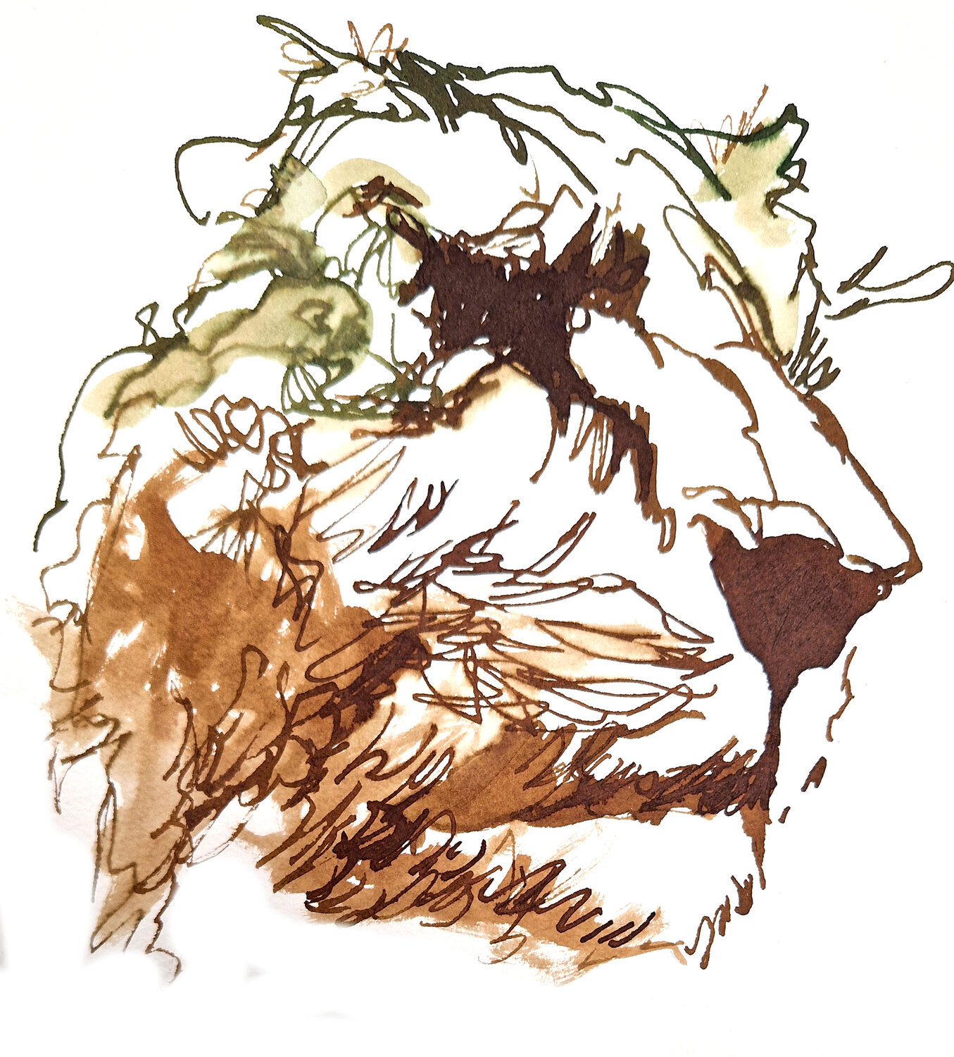 leon 020 Claudio Pincas Feldman Drawing for sale