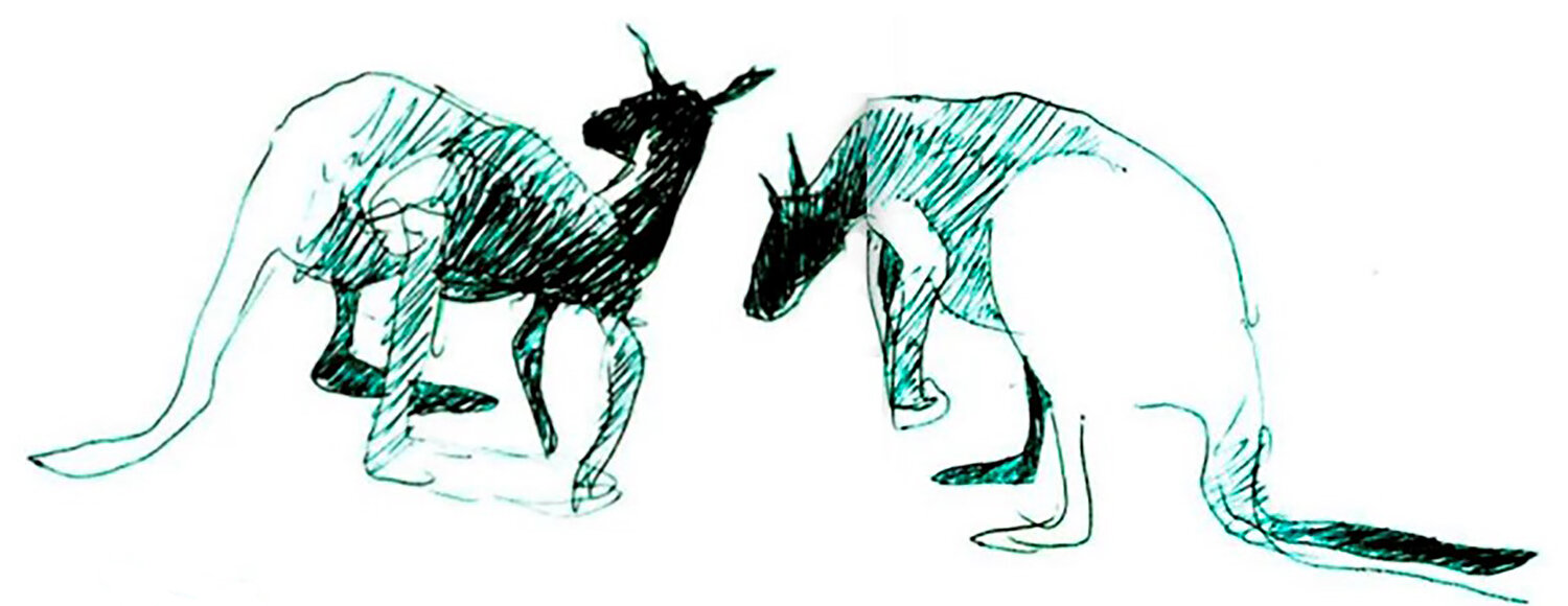 Pareja de Canguros Claudio Pincas Feldman Drawing for sale