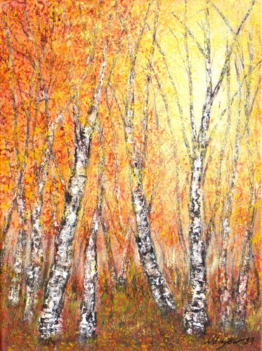 Autumnal birch trees by Ludmilla Ukrow, Painting for Sale on Select