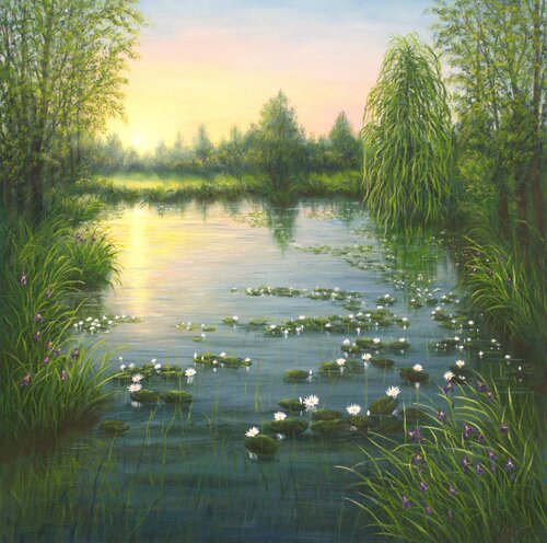 Water lily pond by Ludmilla Ukrow, Painting for Sale on Select