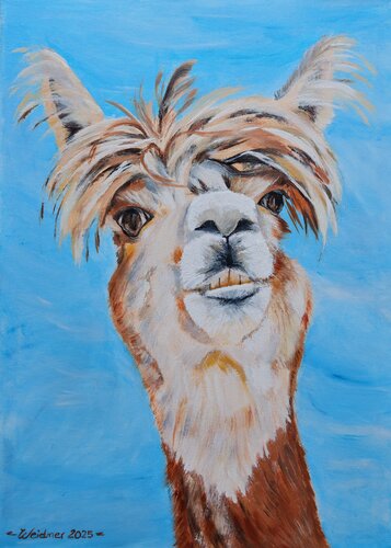 Paco by Angela Weidner, Painting for Sale on Select