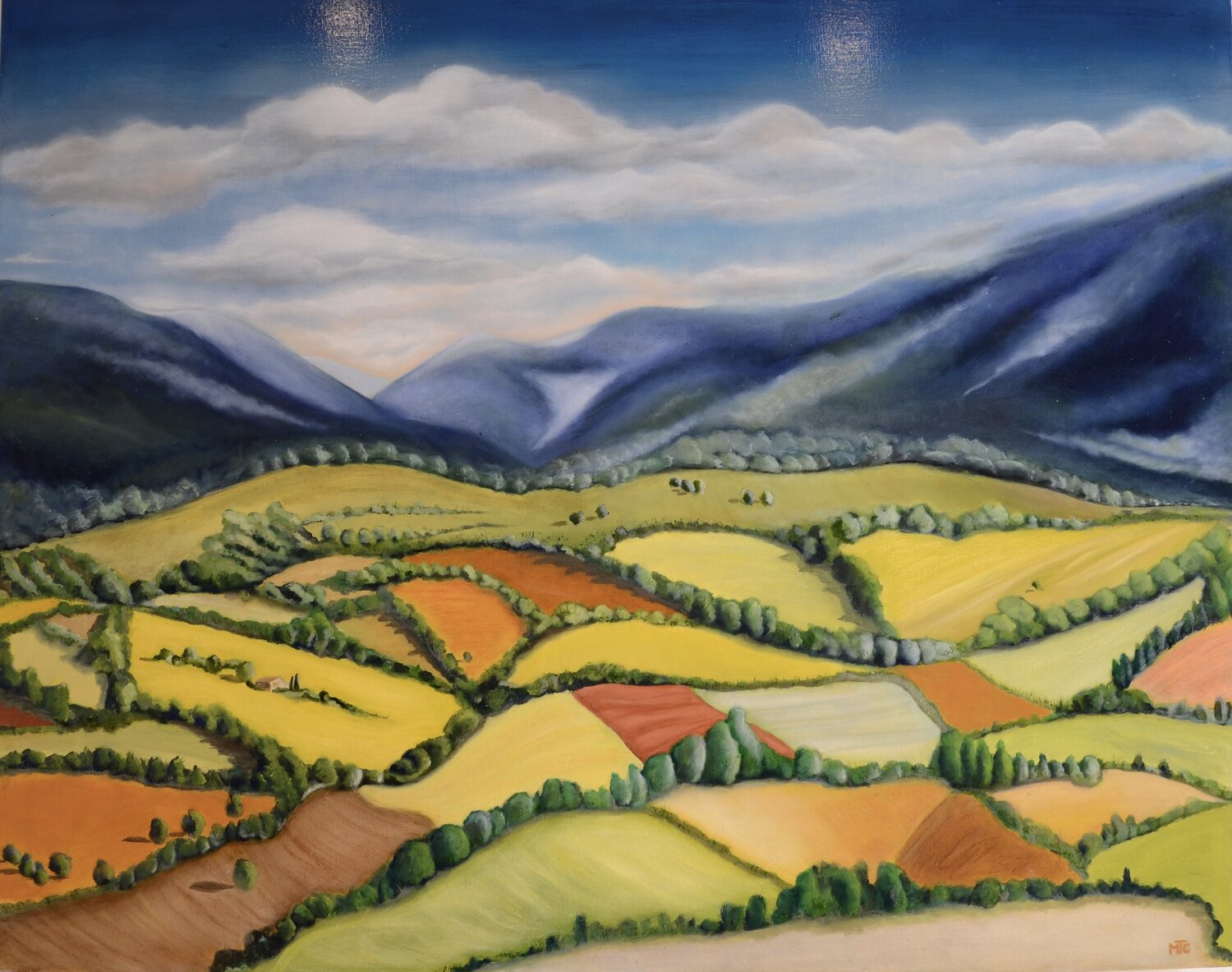 Erra l'armonia per questa valle Maria Teresa Cristini Original painting for sale