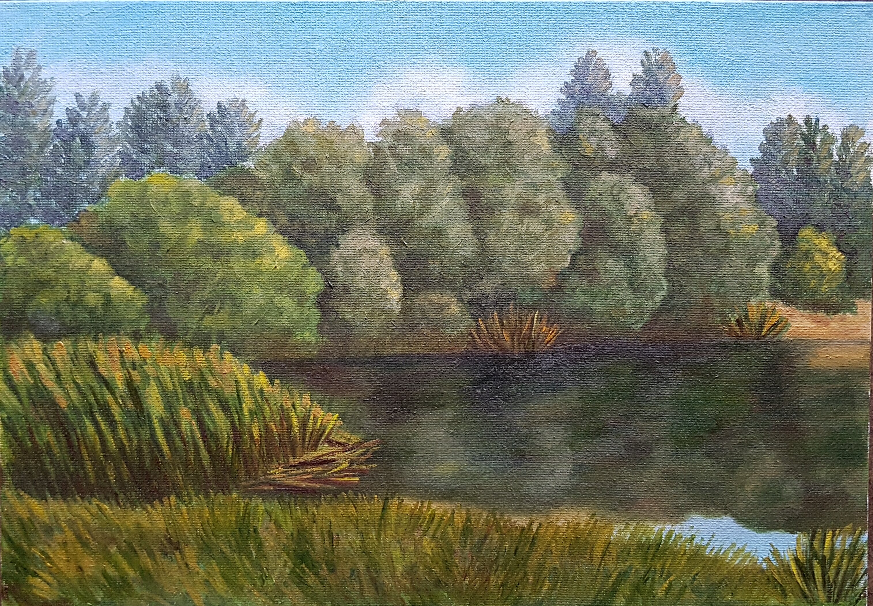 Pond in the forest