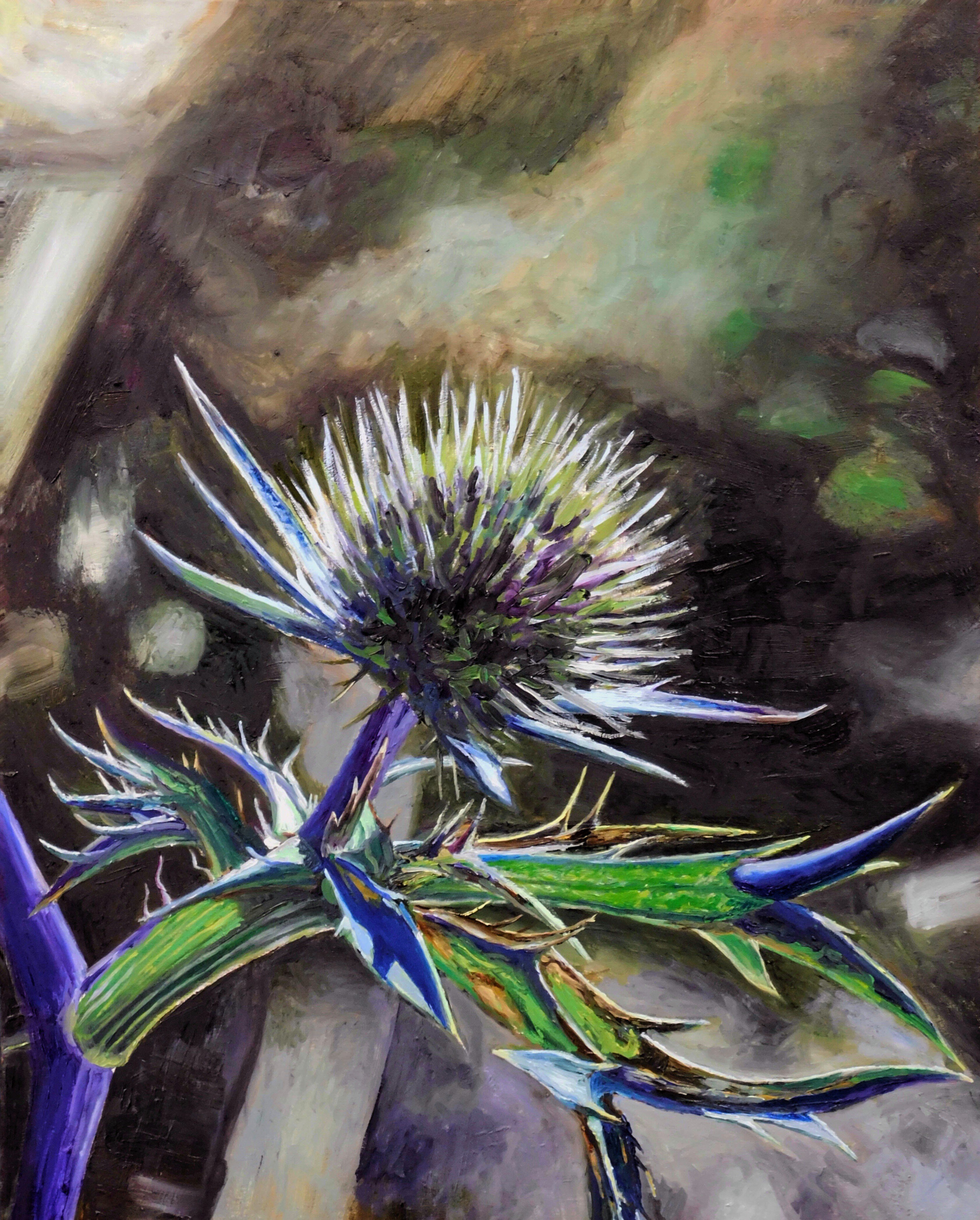 Eryngium blu ( cardo selvatico - Parco del Gran Sasso)