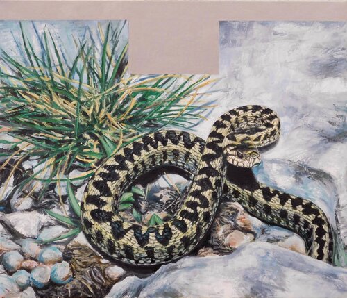 Vipera dell'Orsini by Paolo Mori, Painting for Sale on Select