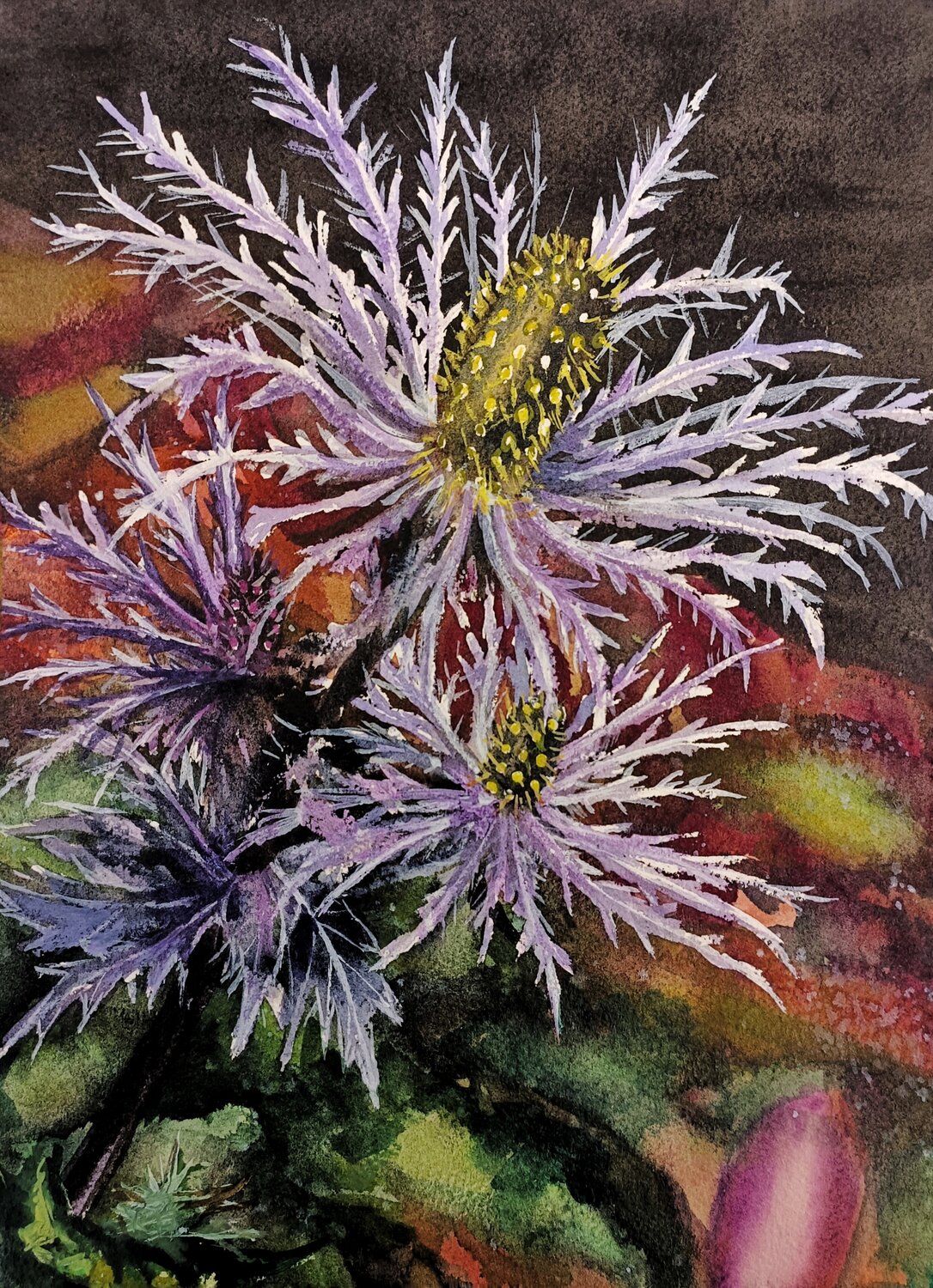 Eryngium alpinum - Regina delle Alpi - serie fiori delle Dolomiti Paolo Mori Original painting for sale