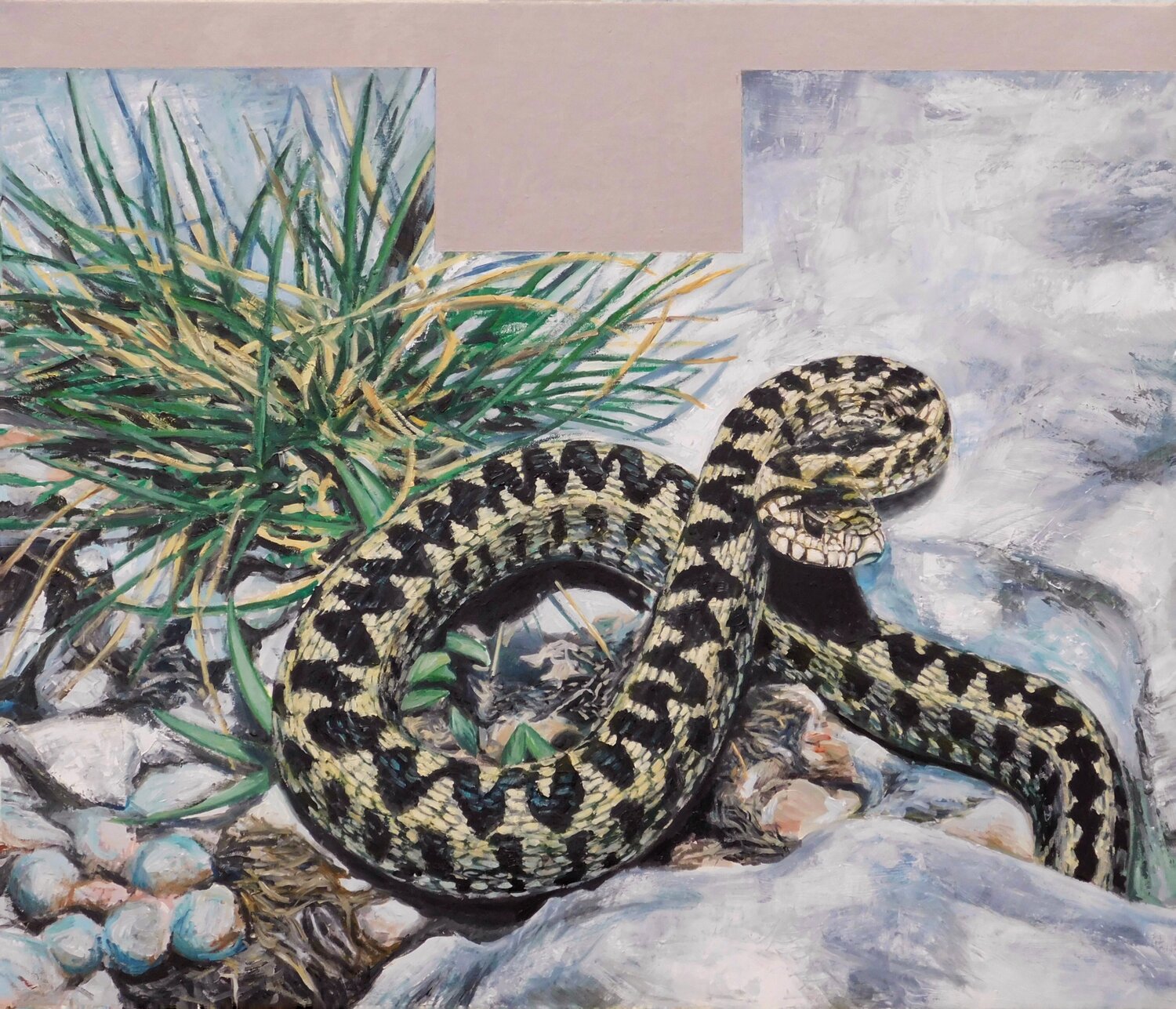 Vipera dell'Orsini Paolo Mori Original painting for sale